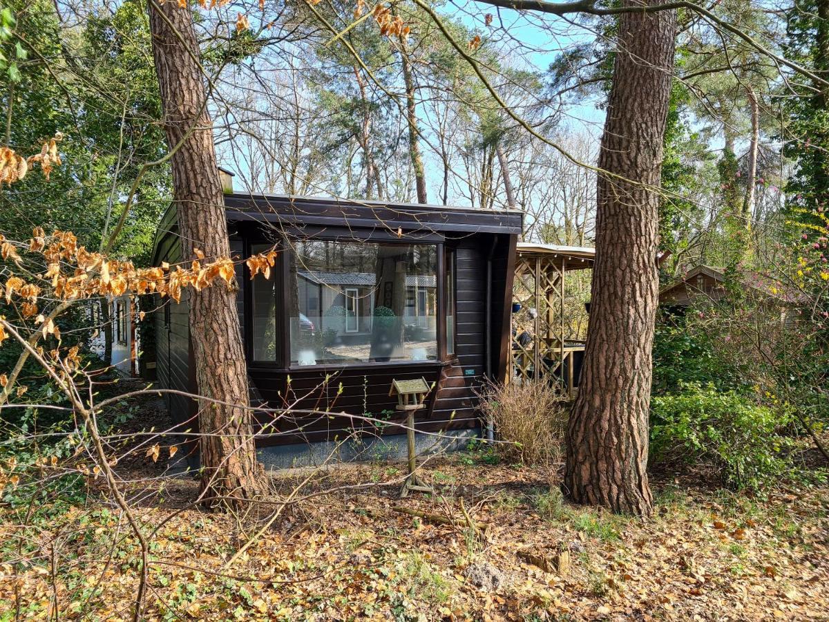 Chalet Boslust Βίλα IJhorst Εξωτερικό φωτογραφία