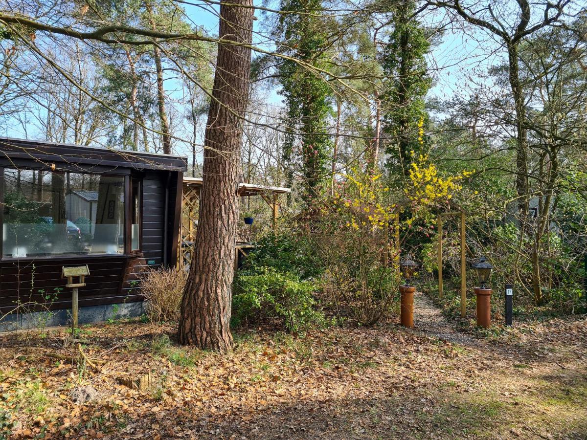 Chalet Boslust Βίλα IJhorst Εξωτερικό φωτογραφία
